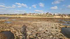 ظاهرة طبيعية تُثير المخاوف.. تراجع منسوب مياه البحر على شواطئ يافا